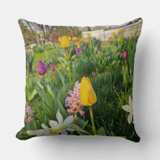 Throw Pillow
