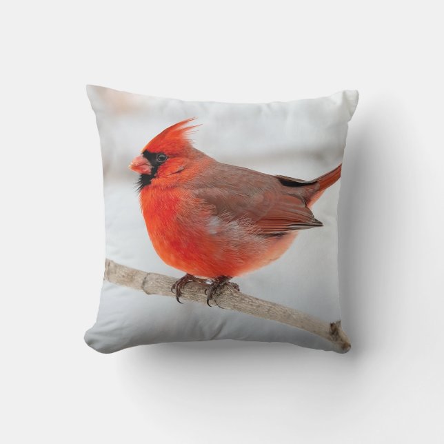 Throw Pillow (Front)