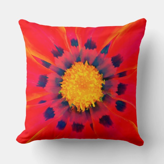 Throw Pillow (Front)