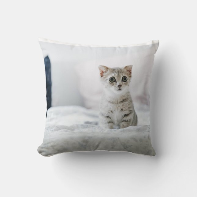 Throw Pillow (Front)