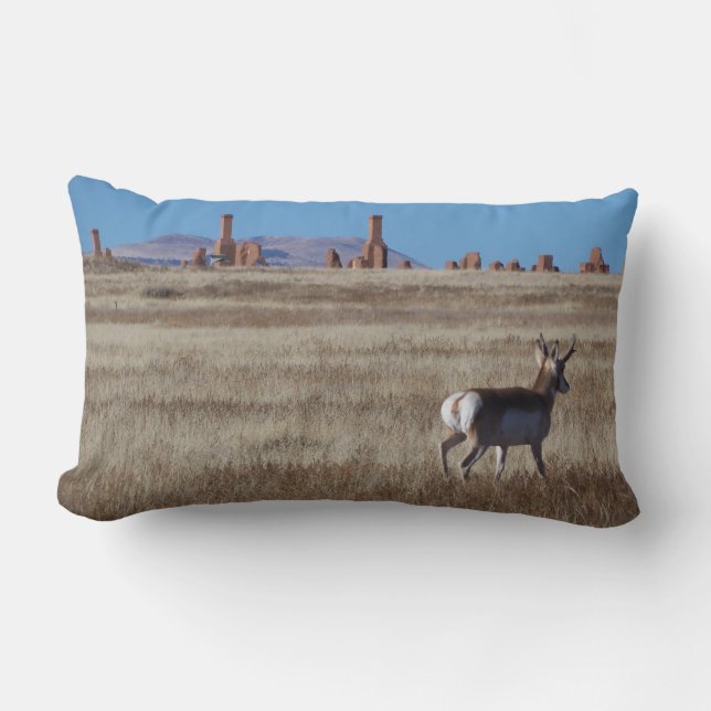 Throw Pillow (Front)