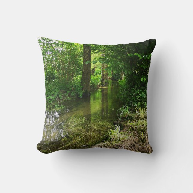 throw pillow  (Front)