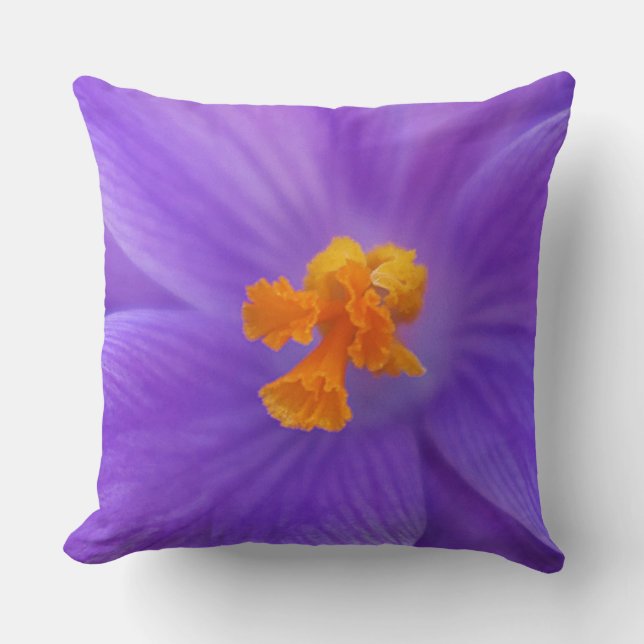 Throw Pillow (Front)