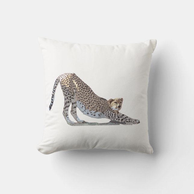 Throw Pillow (Front)