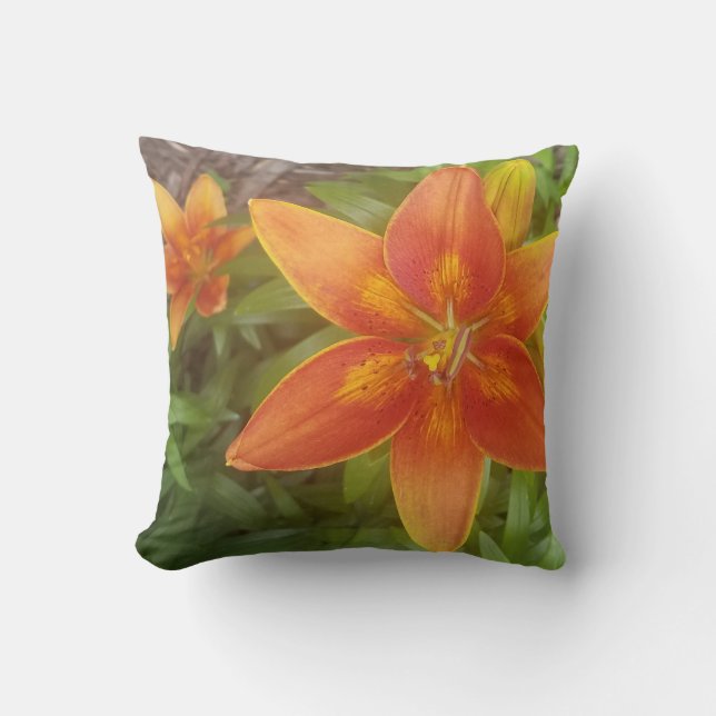 Throw Pillow (Front)