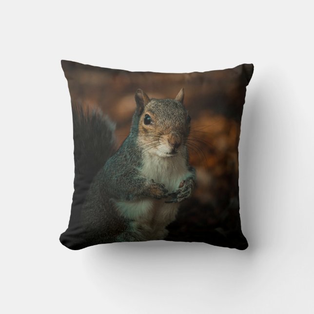 Throw Pillow (Front)