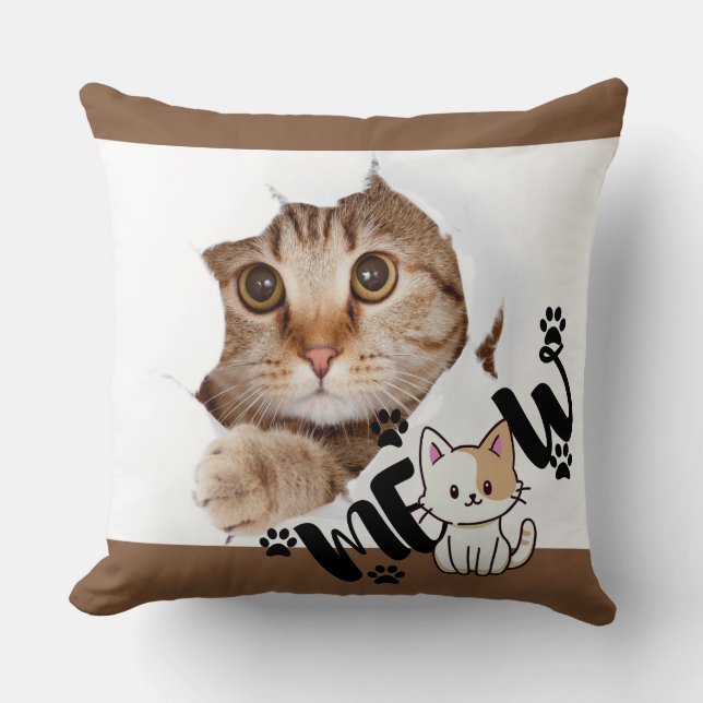 Throw Pillow (Front)