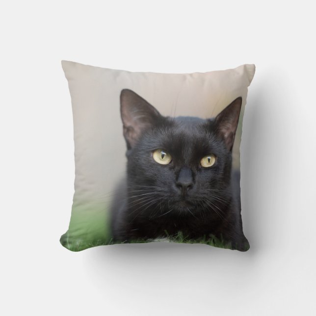 Throw Pillow 16" x 16" (Front)