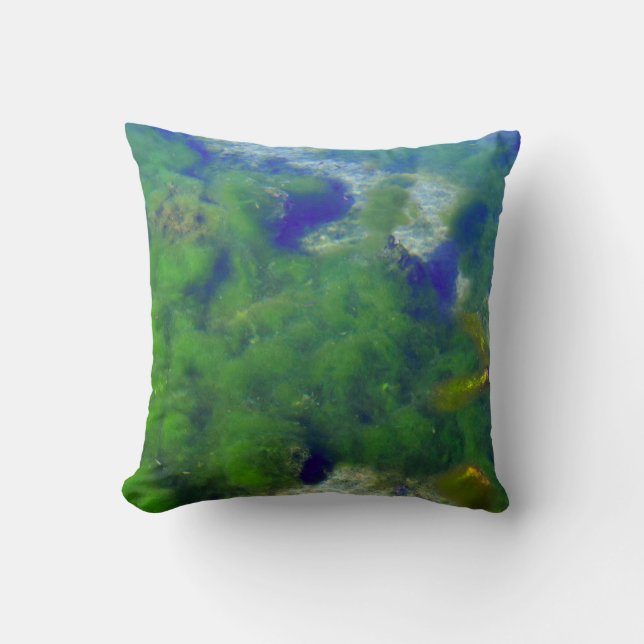 Throw Pillow 16" x 16" (Front)