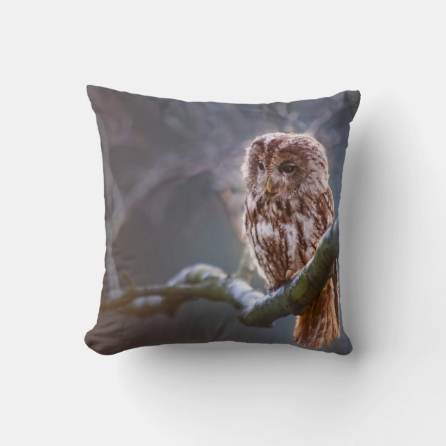Throw Pillow 16" x 16" (Front)