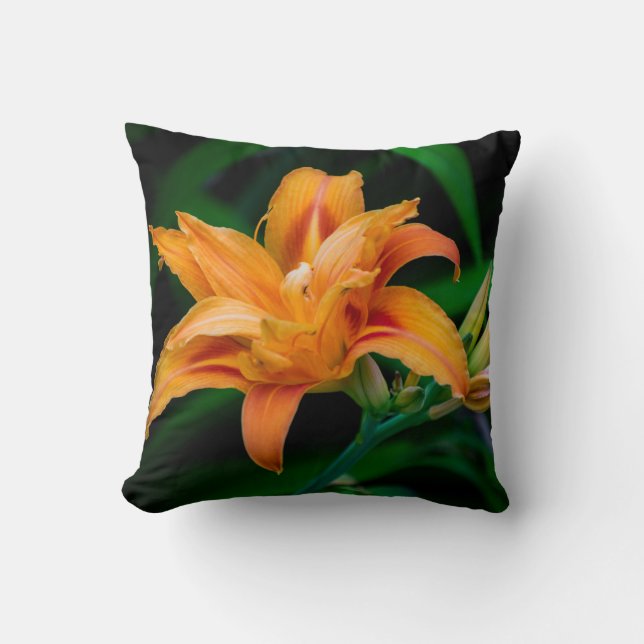 Throw Pillow 16" x 16" (Front)