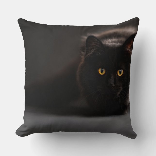 Throw Pillow 20" x 20" (Front)