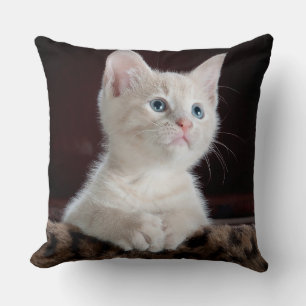 Throw Pillow 20" x 20"