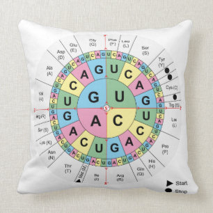 Throw Pillow Codons Amino Acids Genetic Code DNA