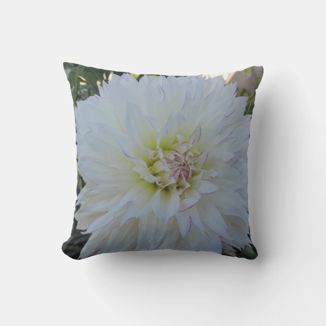 Throw Pillow--"Crazy Love" Dahlia Cushion (Front)