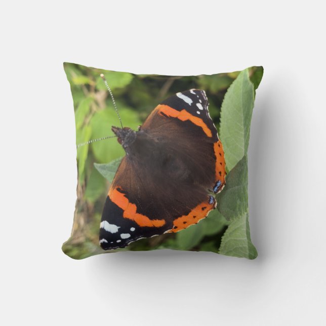 Throw Pillow Depicting A Red Admiral Butterfly (Front)