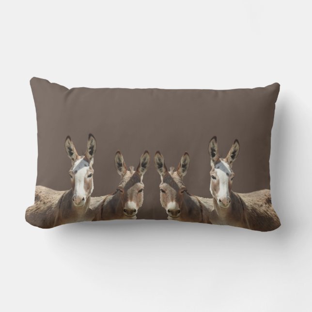 Throw pillow, donkeys, wildlife gifts lumbar cushion (Front)