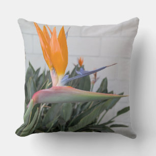 Throw Pillow-Floral series brd of paradise-Thro Cushion