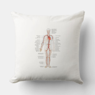 Throw Pillow Human Circulatory System of Arteries