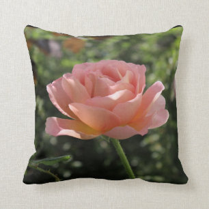 Throw Pillow with "Abraham Darby" Rose