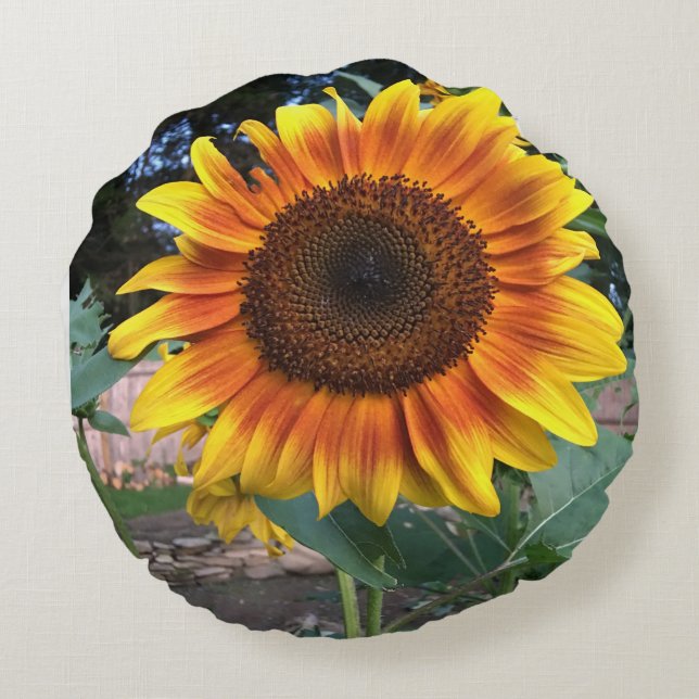 Throw pillow with sunflowers (Back)