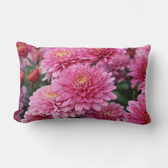Throw Pillows with Vibrant Pink Chrysanthemums  (Front)