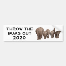 Throw the Bums Out 2020