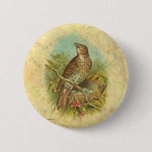 Thrush Vintage 6 Cm Round Badge