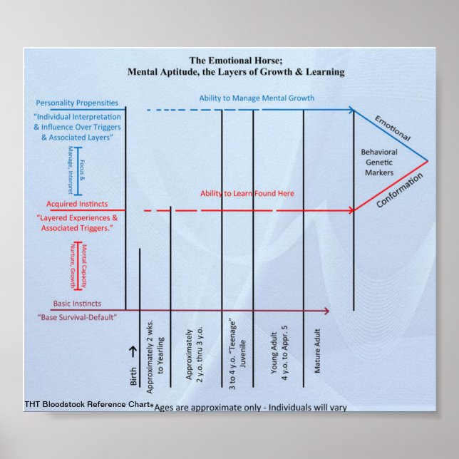 THT Bloodstock Reference Chart Herd Dynamics (Front)
