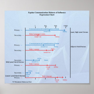 THTBloodstock Equine Communication Chart