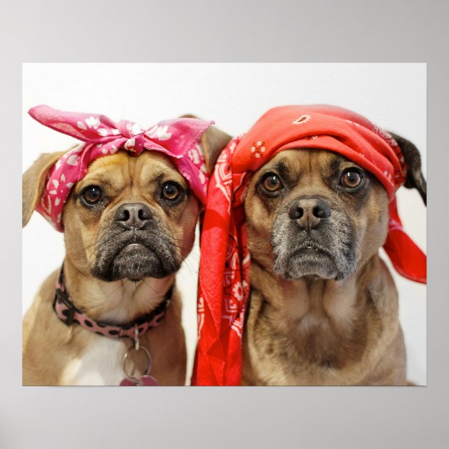 thuggles poster (Front)