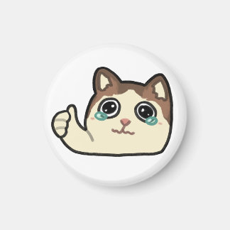 thumbs up crying cat magnet