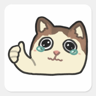 thumbs up crying cat square sticker