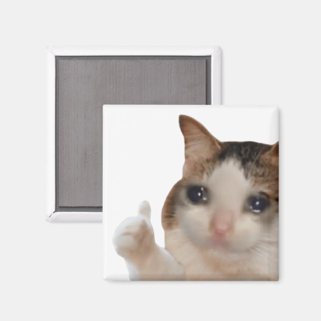 Thumbs Up Ok Cat Meme Magnet (Front/Back)