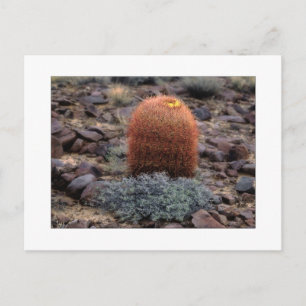 "Thumbs Up" Postcard