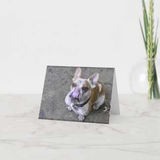 Thunder The Bulldog Greeting Cards
