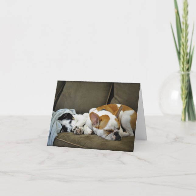 Thunder The Bulldog Greeting Cards (Front)