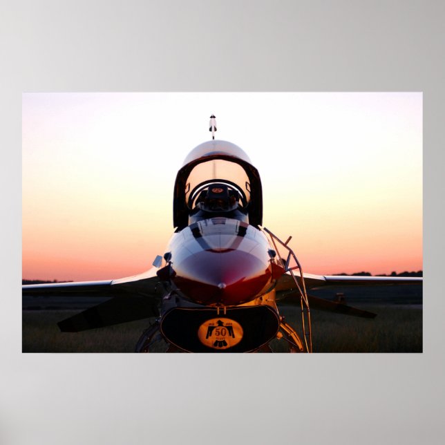 Thunderbirds Flight Demonstration Team Poster (Front)