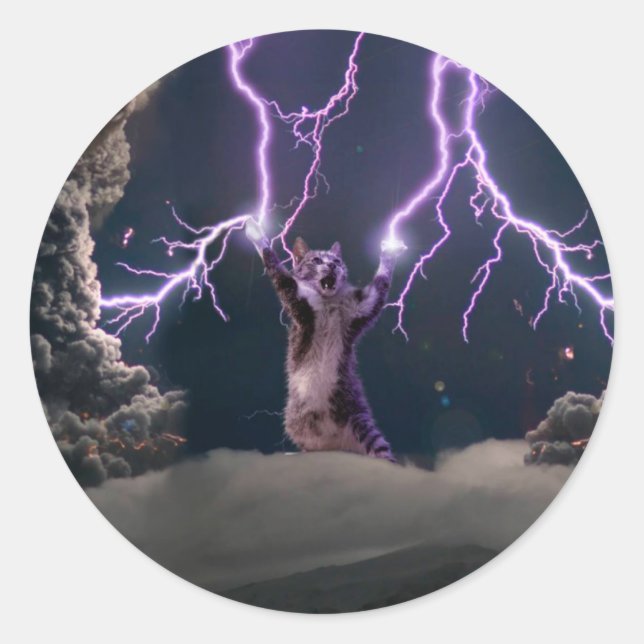 Thunderbolted cat classic round sticker (Front)