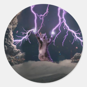 Thunderbolted cat classic round sticker