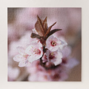 Thundercloud Plum Blossoms Spring Flowers Jigsaw Puzzle