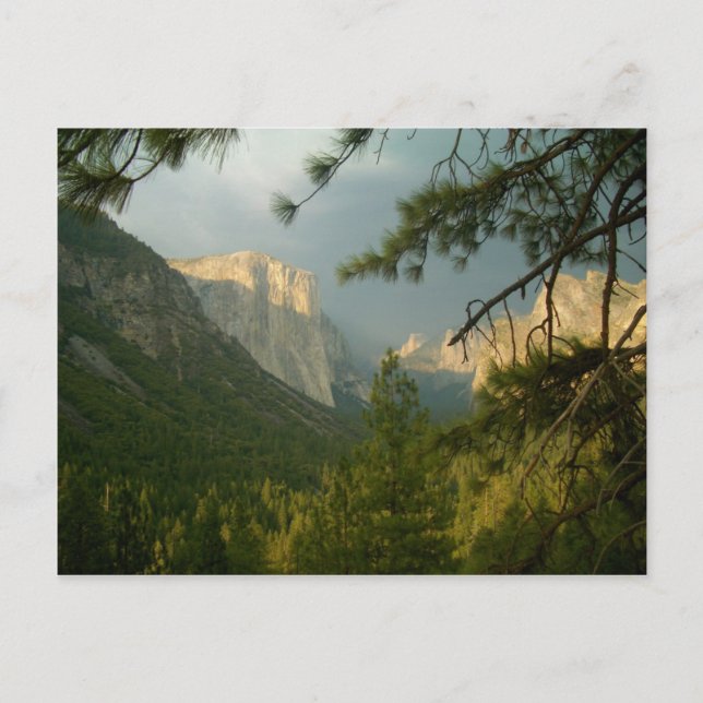 Thunderstorm over Yosemite Valley Postcard (Front)