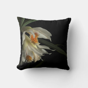 Thunia Marshalliana Cushion