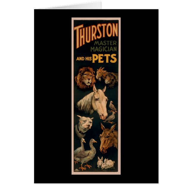 Thurston master magician and his pets (Front)