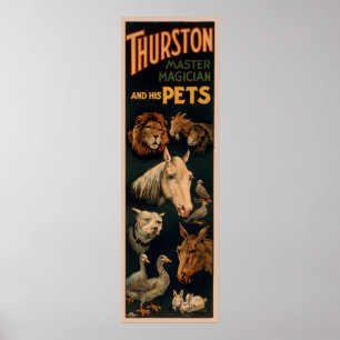 Thurston master magician and his pets poster
