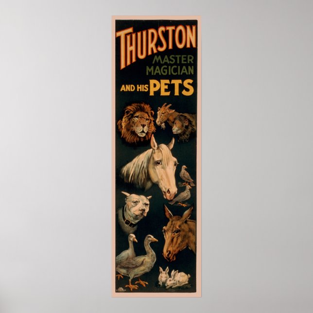 Thurston master magician and his pets poster (Front)