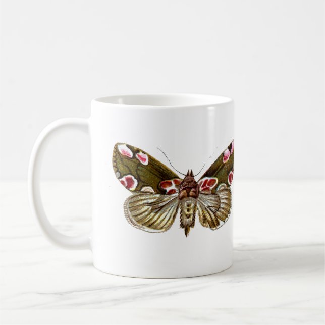 Thyatira batis - The Peach Blossom Moth Coffee Mug (Left)