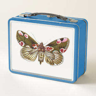 Thyatira batis - The Peach Blossom Moth Metal Lunch Box