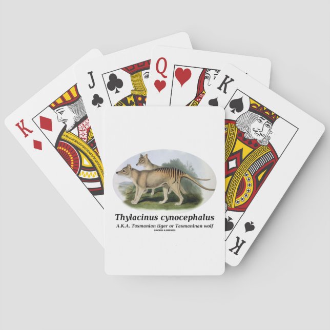 Thylacinus cynocephalus (Tasmanian tiger or wolf) Playing Cards (Back)