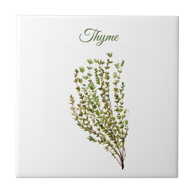 Thyme Herb Greenery Kitchen Culinary Green Plant C Ceramic Tile (Front)